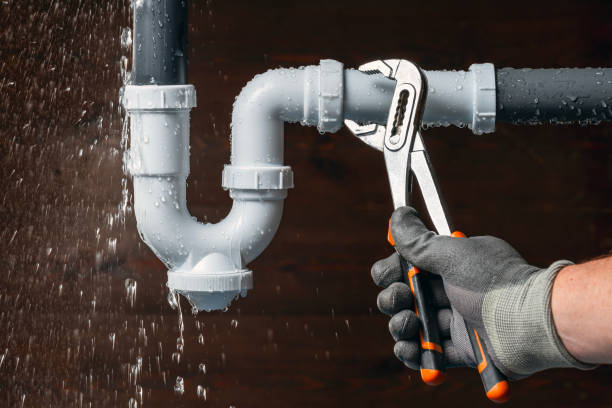 Professional Plumbing technician working in Hales Corners, WI